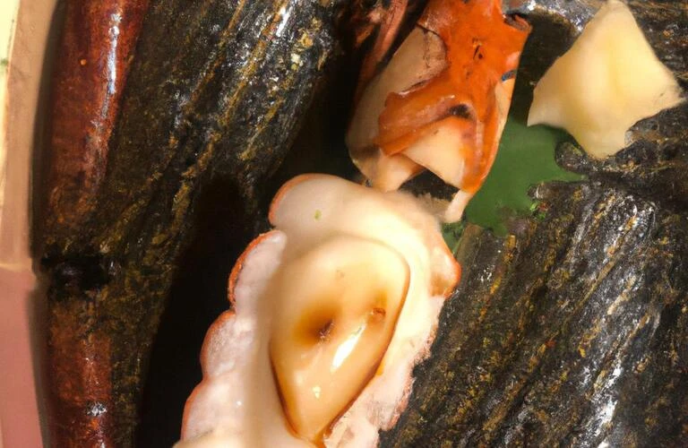 海鮮の極みを体感せよ！大阪のomakase