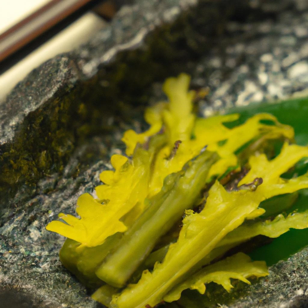 北新地で山菜を味わう特別なひととき。