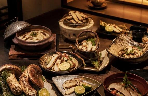 松茸ずくしで味わう北新地の秋、個室で癒される至福のひととき