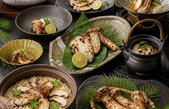 冬の味覚を満喫！松茸尽くしの特別コース