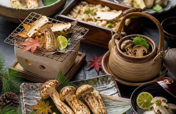 松茸と和食の饗宴で、特別なひとときを。
