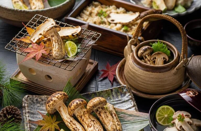 松茸と和食の饗宴で、特別なひとときを。