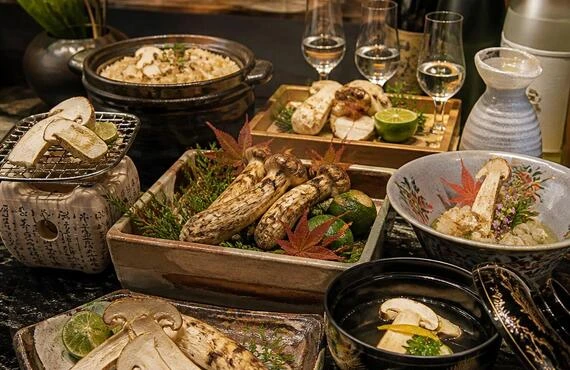 贅沢な松茸尽くしの和食と日本酒の華やかなペアリングを北新地で