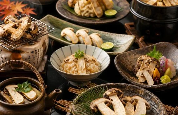 松茸尽くしの特別な和食体験を北新地で