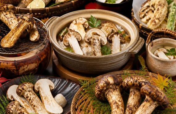 秋の味覚を贅沢に堪能する松茸の饗宴