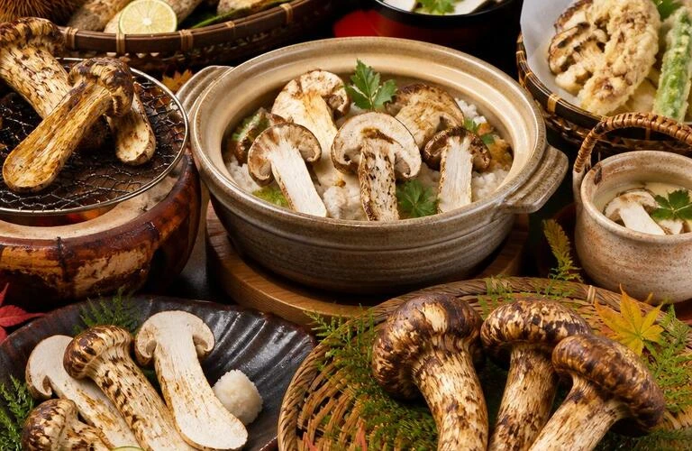 秋の味覚を贅沢に堪能する松茸の饗宴